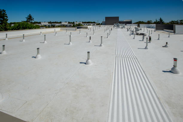 Best Roof Coating Services  in Chillicothe, OH